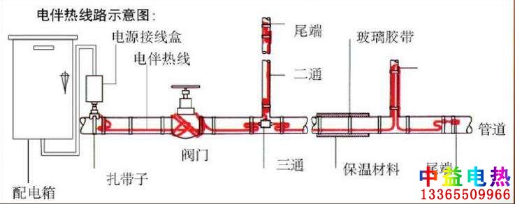 水蜜桃在线免费係統圖