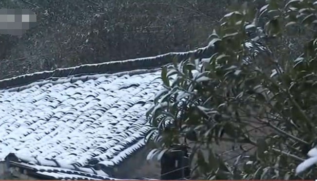 未安裝水蜜桃在线免费的屋頂上的積雪